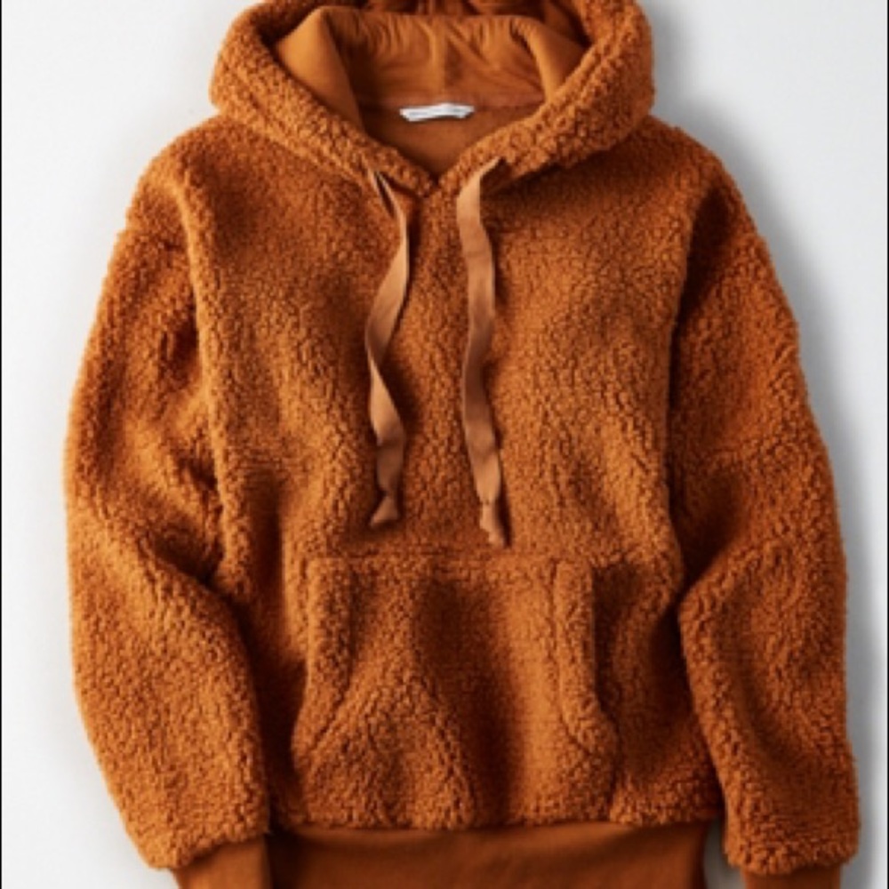 AE Fuzzy Teddy Sherpa Hoodie
